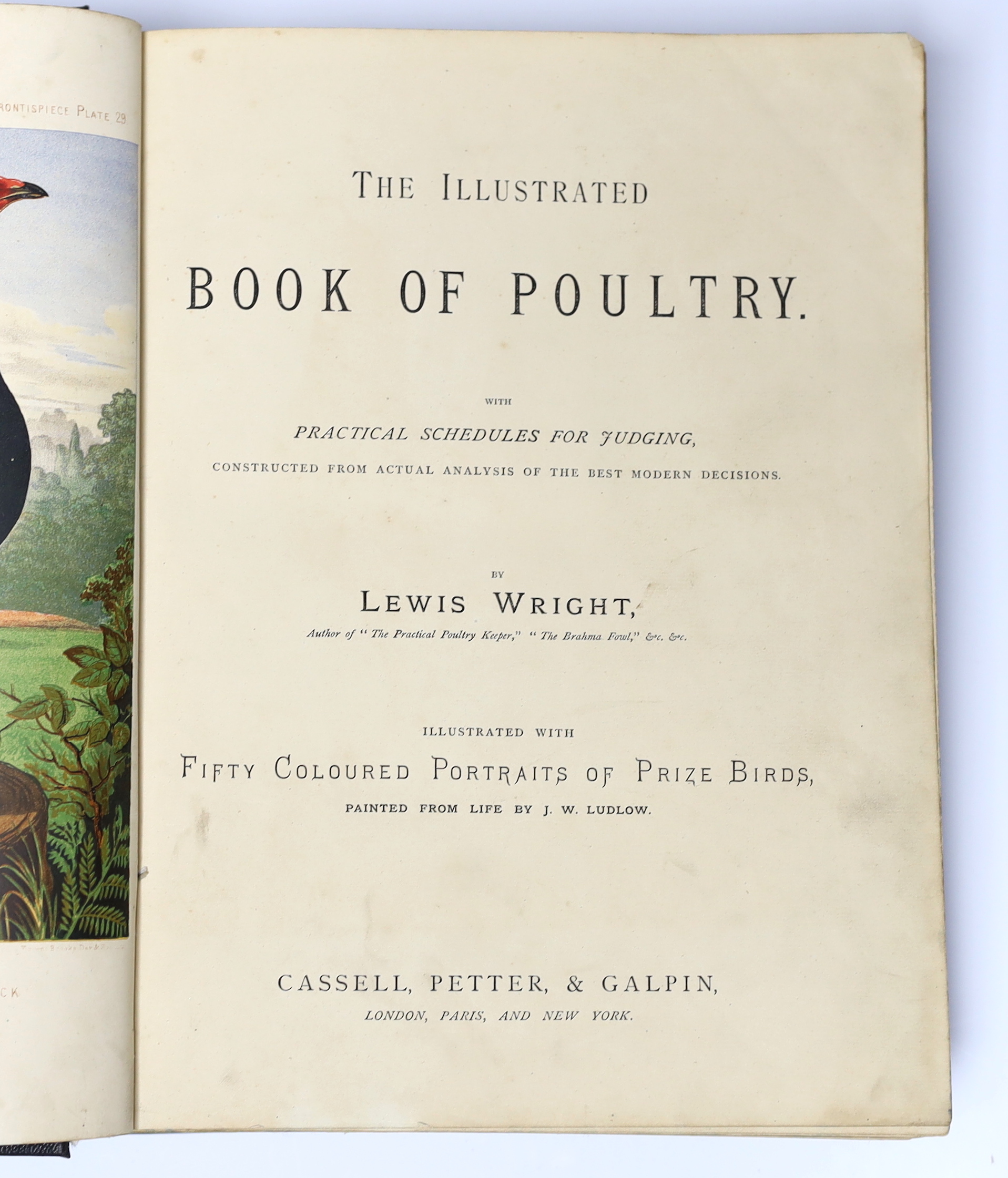 Wright, Lewis - The Illustrated Book of Poultry. 52 coloured plates; rebound cloth with red leather spine label, 4to. (Cassell, 1880?)